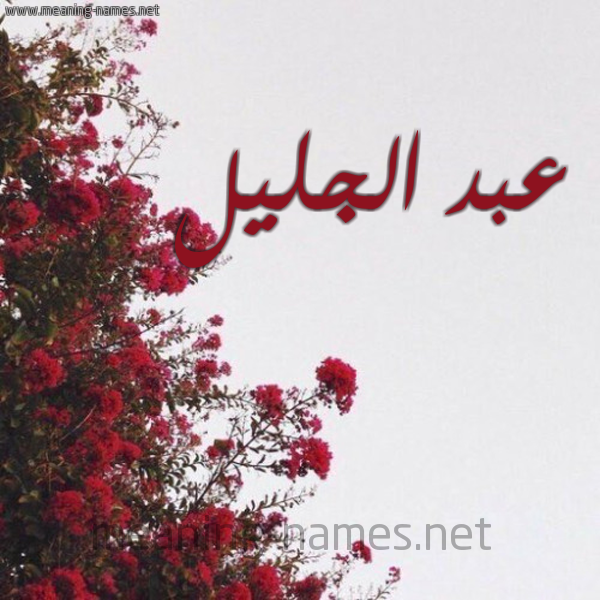 شكل 18 صوره الورد الأحمر للإسم بخط رقعة صورة اسم عبد الجليل Abd-aljalel